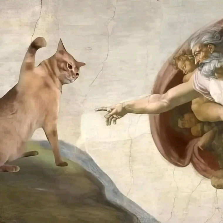 Gato Curioso cover image