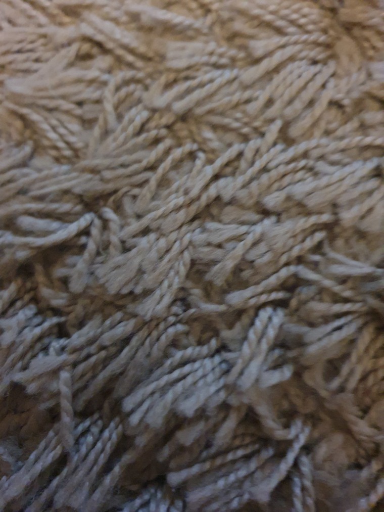 bearboyfeet banner image