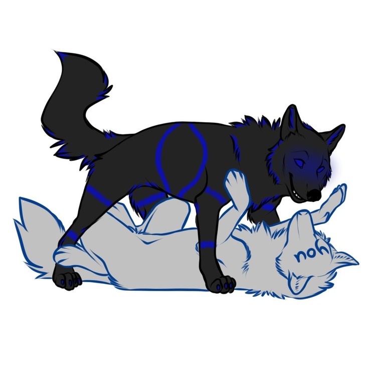 GayBluePuppy cover image