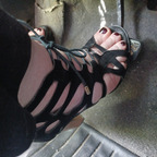 Gayle Wright avatar