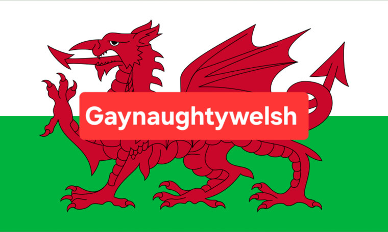 Gaynaughtywelsh.2 cover image