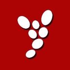 Gaysight | FanSight Zone avatar