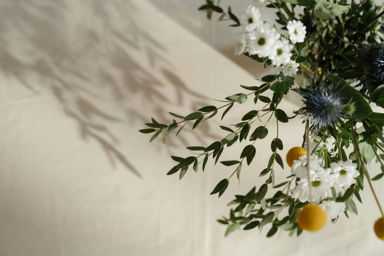 Massara Gbado banner image