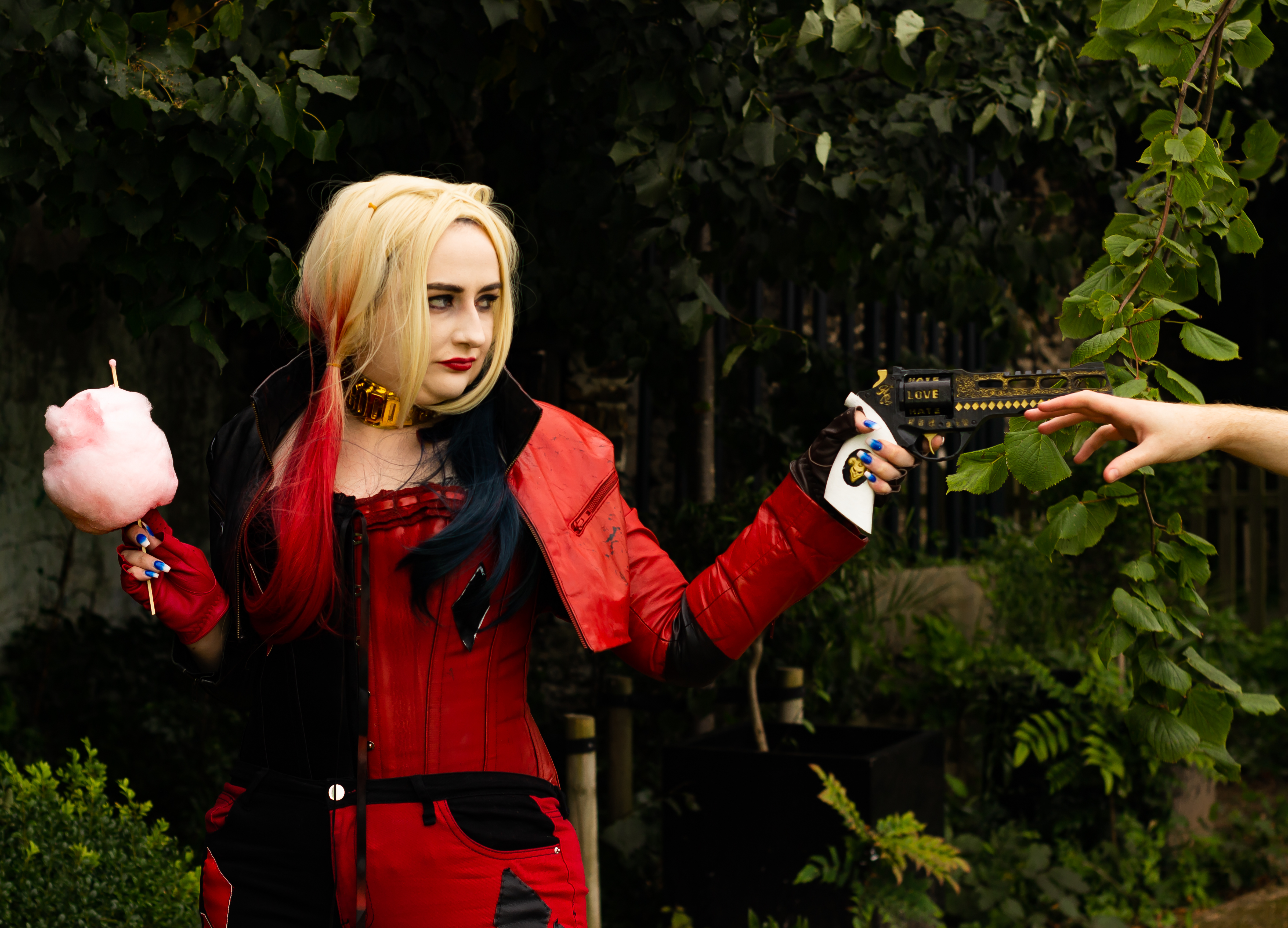 Phaedra Toms banner image