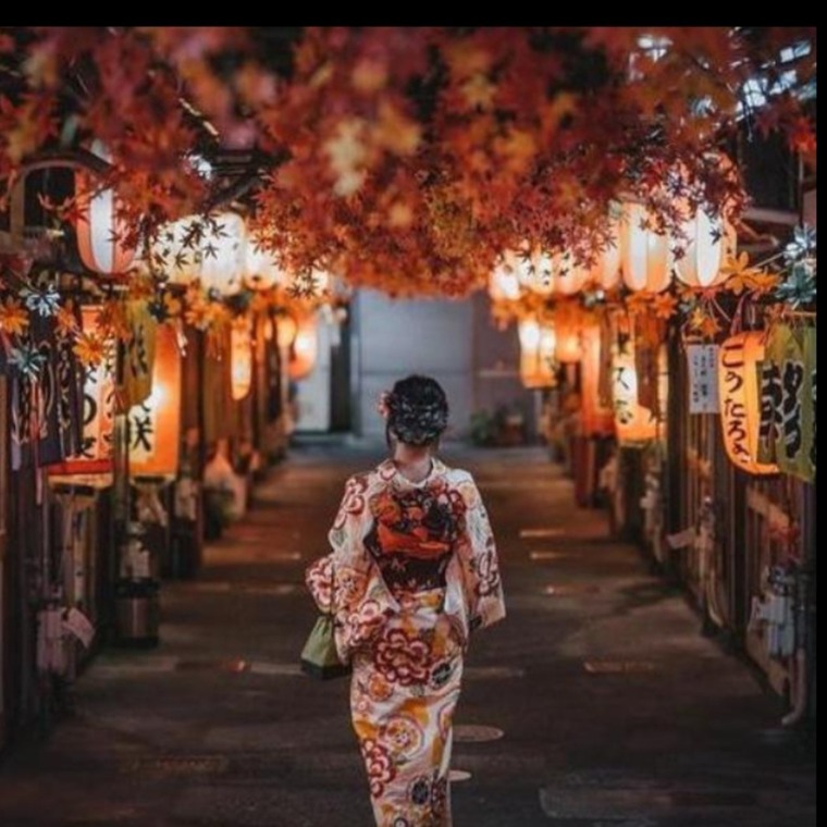 🌈Geisha👘 banner image