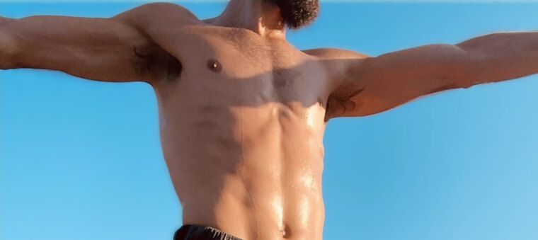 Gemini Guy banner image