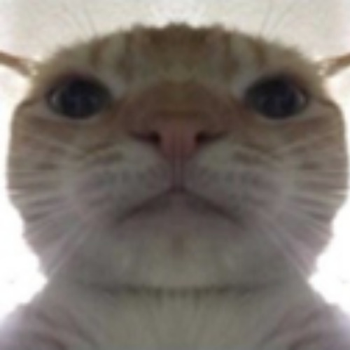 Georgi banner image