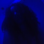 Queen B. avatar