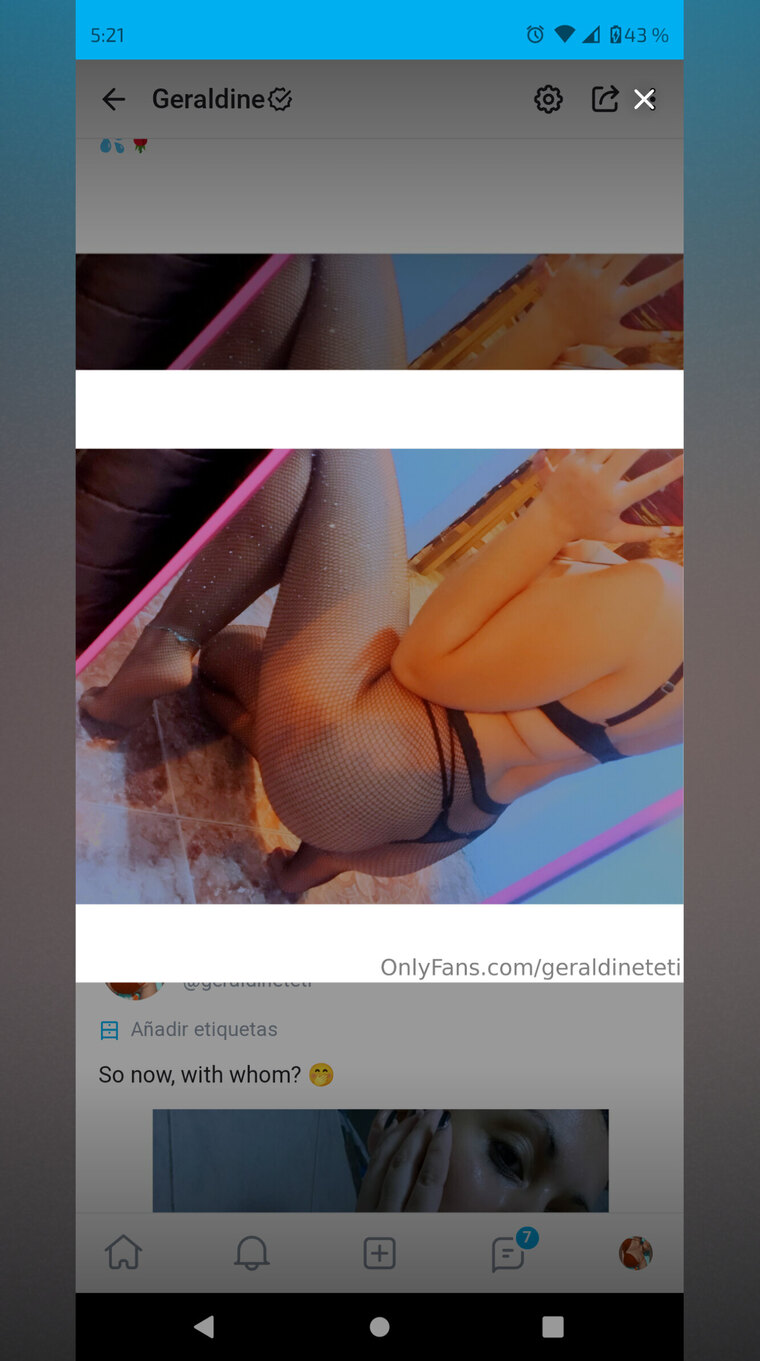 Geraldine cover image