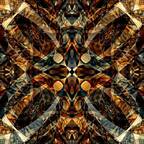 Germancondor89 avatar