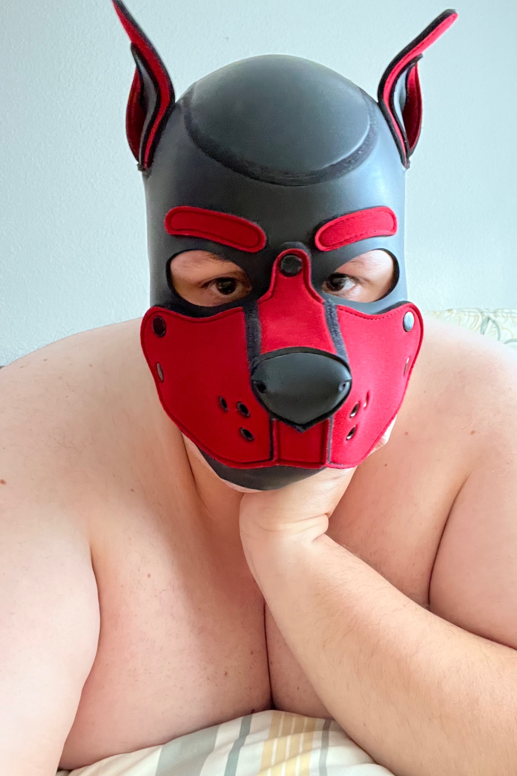 Germansuperchubby avatar