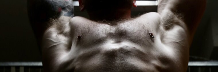 Ethical Hermann banner image