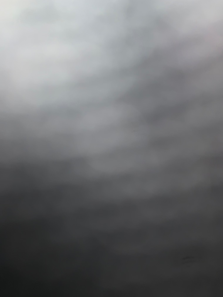 LILPOLO banner image