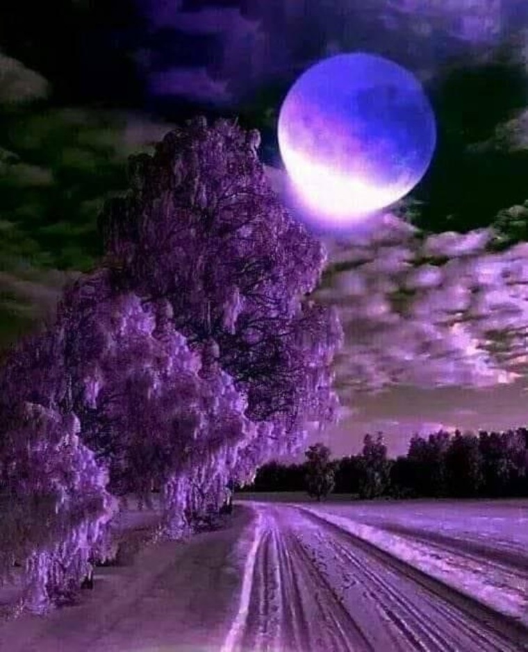 Justin banner image