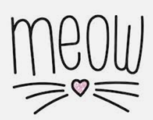 Ghost Kitty banner image