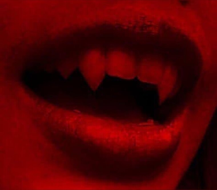 🩸 𝕭𝖇𝖞 𝕲𝖚𝖙𝖟 🩸 cover image