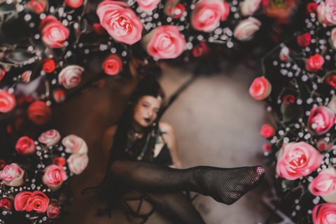 C.A cover image
