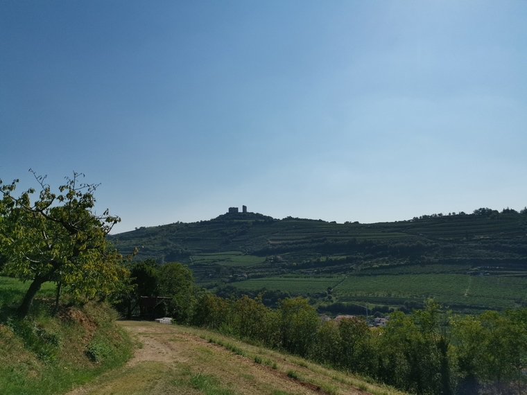 Giangi banner image