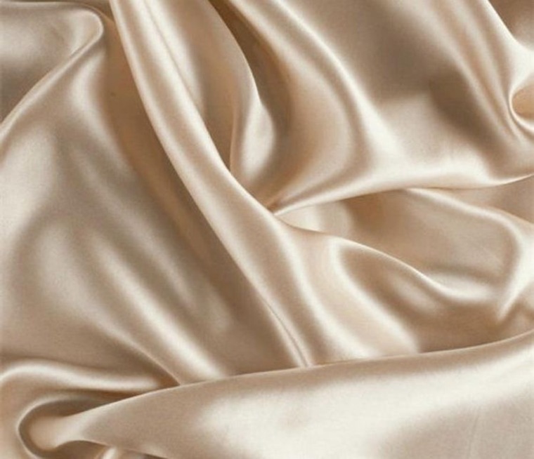 Gina banner image