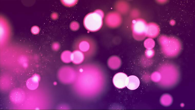 Gina Flower cover image