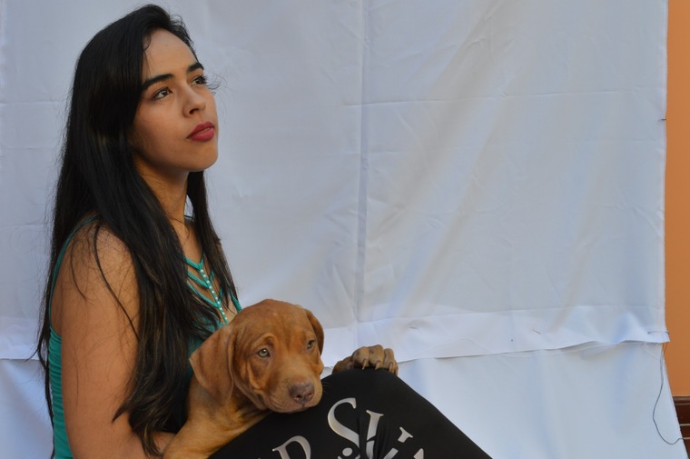 GINA ANTONELLA banner image