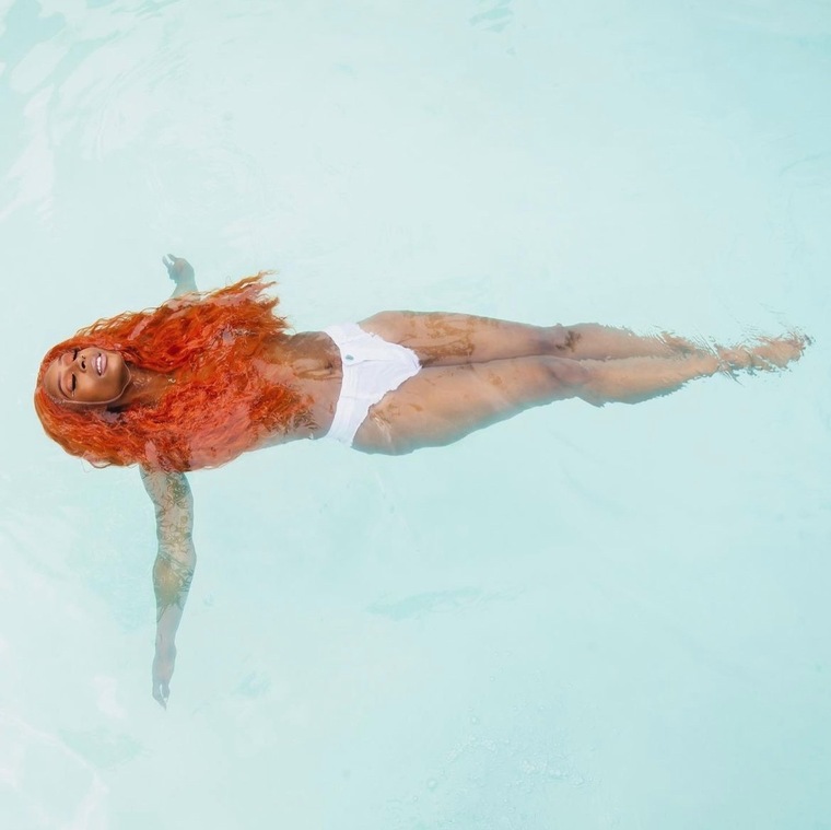 Ginger Barbie cover image
