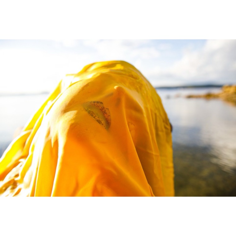 Ginger ๐ฏ๐ banner image