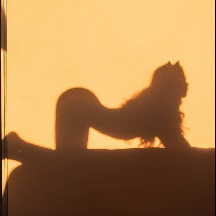 Ginger banner image