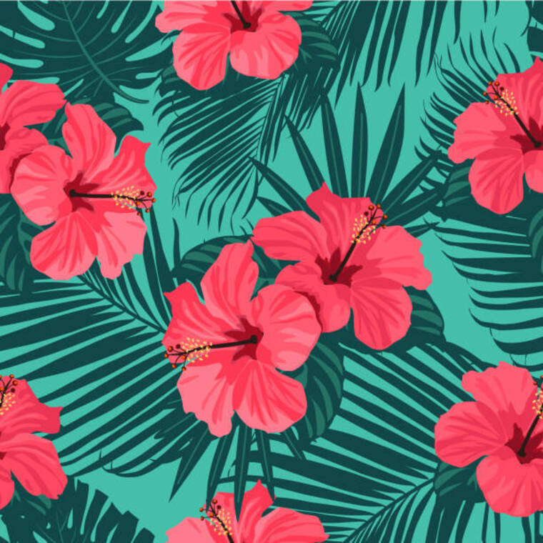 Ginger cover image