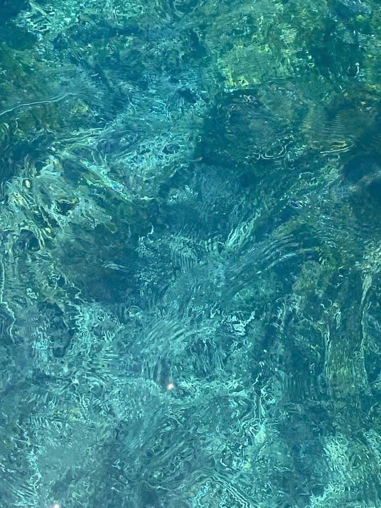Ginger cover image