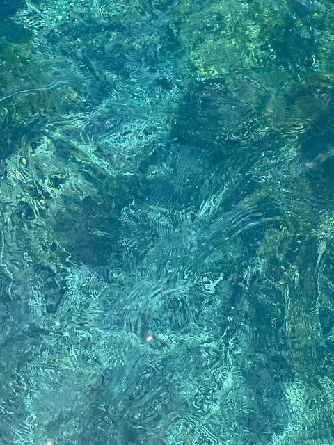 Ginger cover image