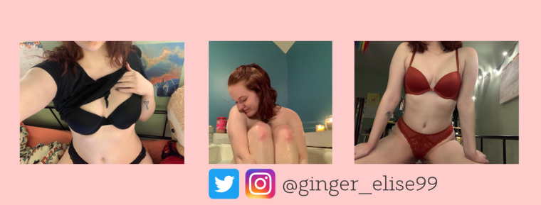 Ginger Elise banner image