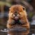 Ginger-Minger avatar