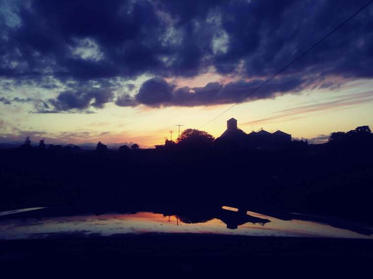 Ginger_snapsssss cover image