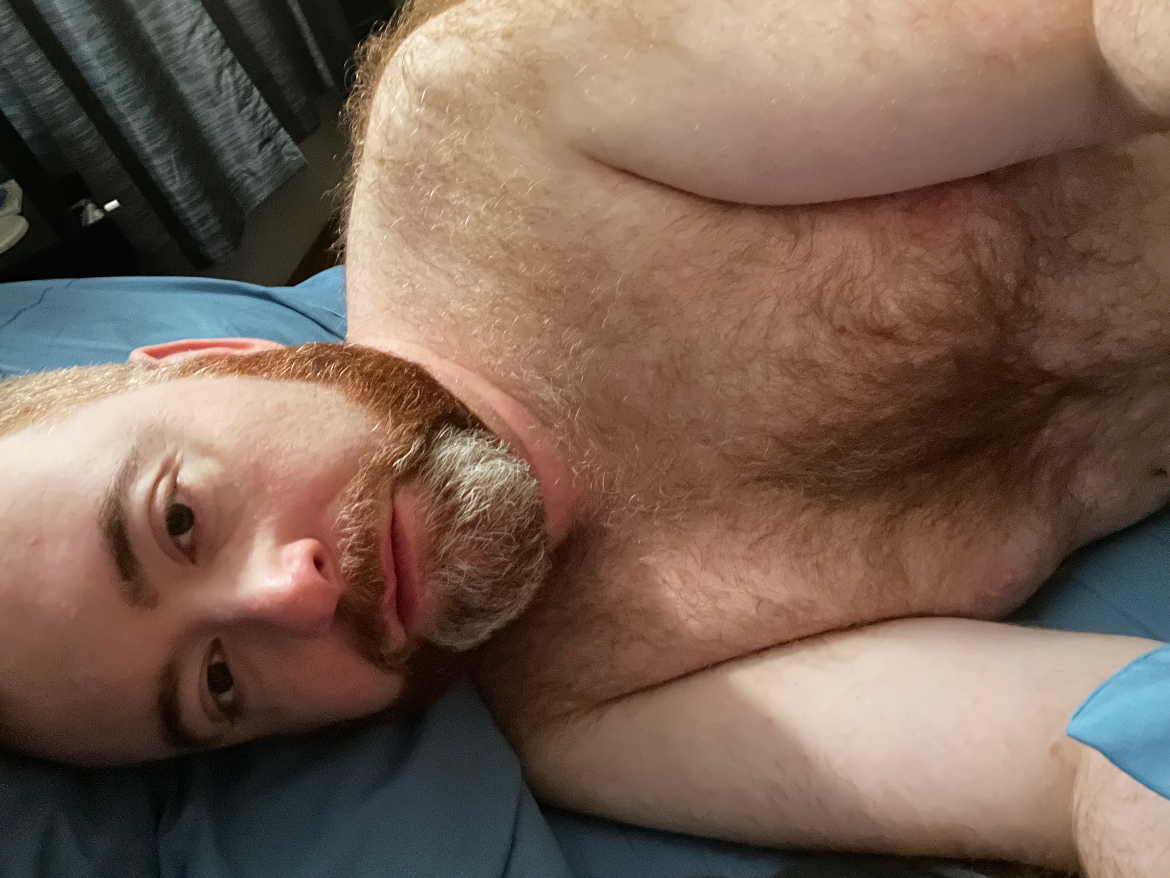 Ginger Bear Chi ๐ป banner image