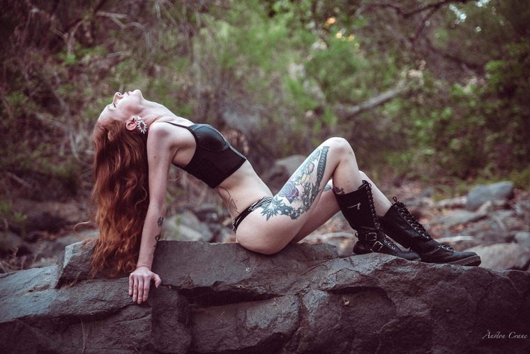 Ginger cover image