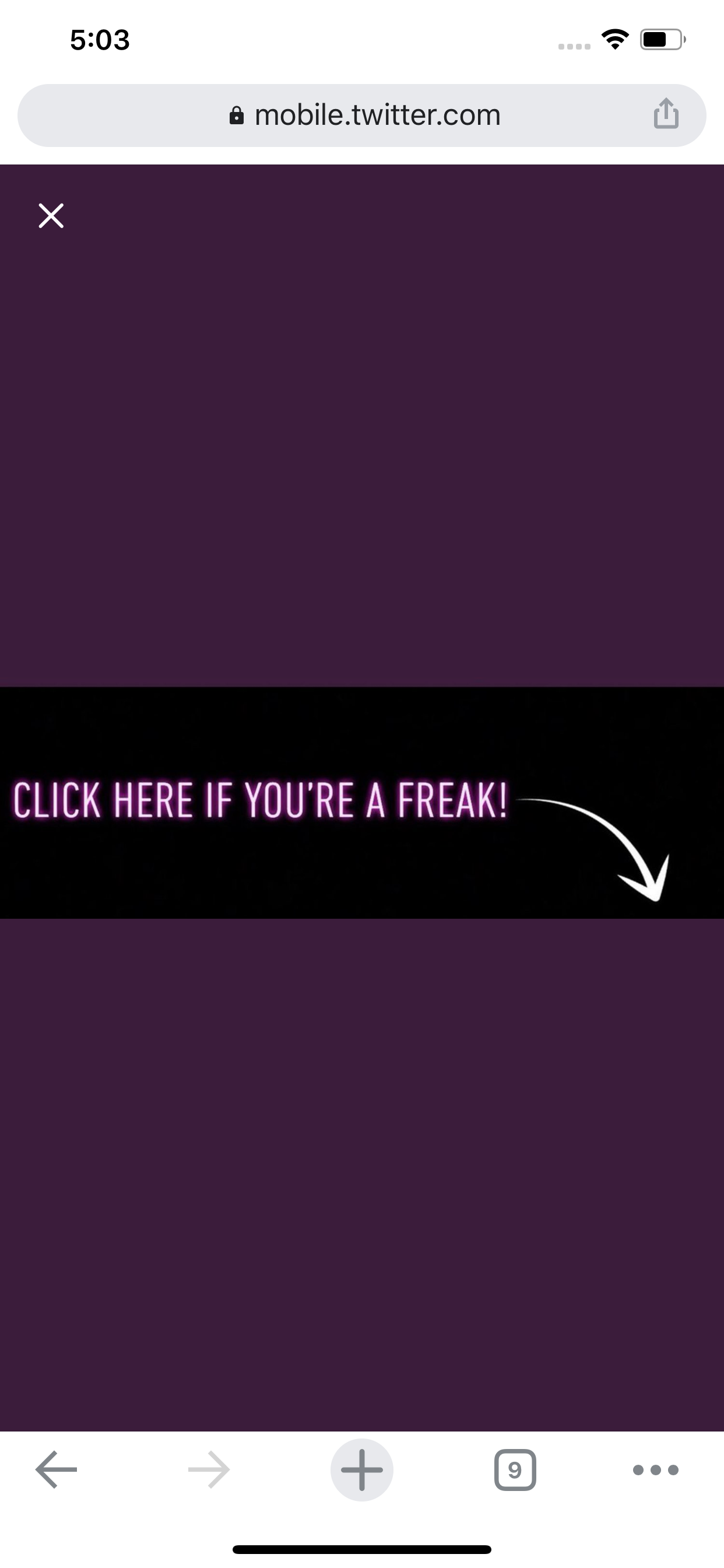Ginger Blondie 🤪 banner image