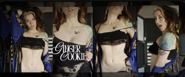 GingerCookie cover image