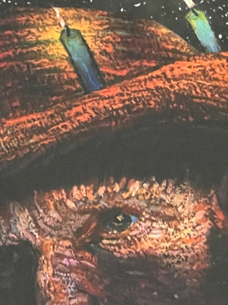 Ginger Fusion banner image