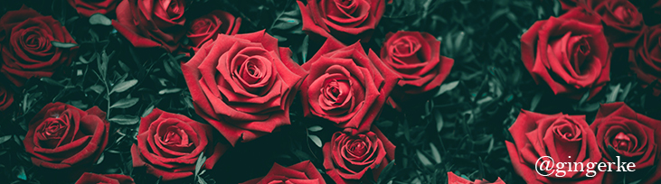 Ginger Ke banner image