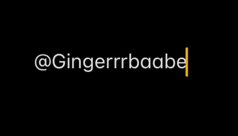 Gingerr cover image