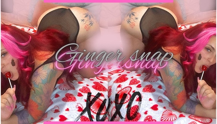 Gingerr Snapp 1.5k ๐ banner image