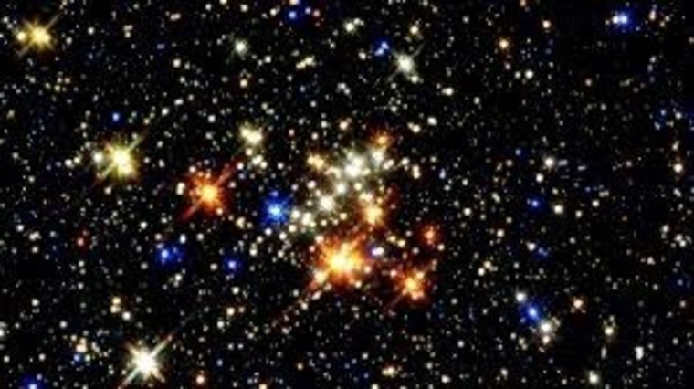 whittttt cover image