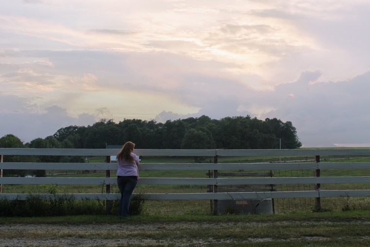 gingersnapsback banner image