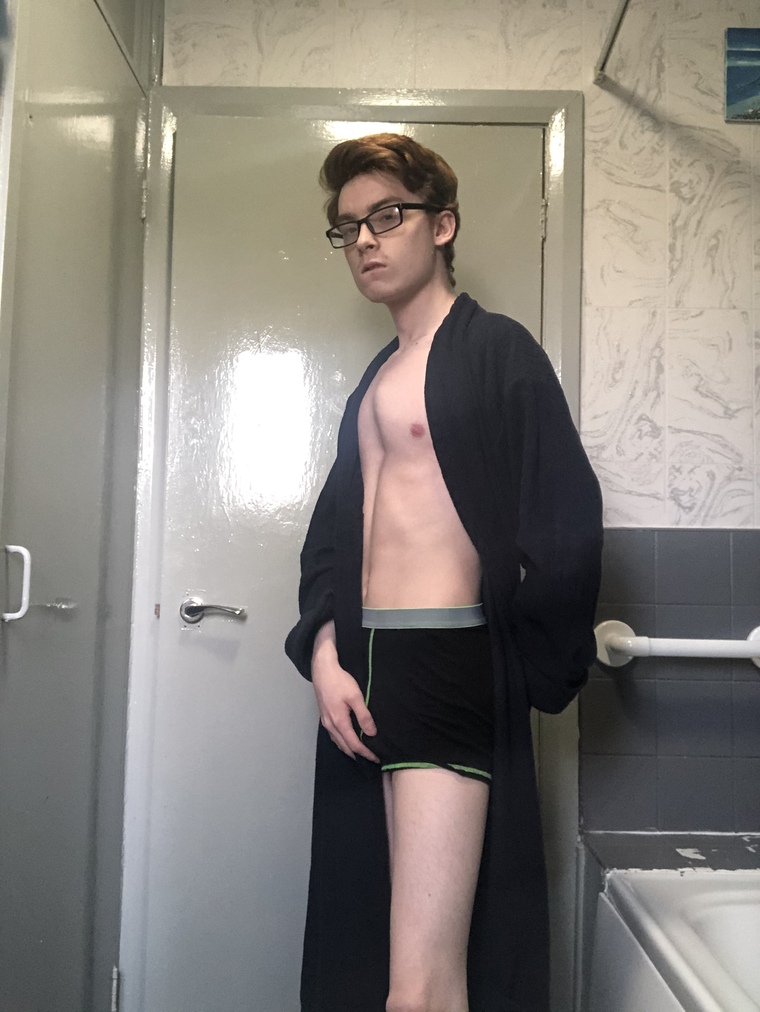 Ginger Twink cover image