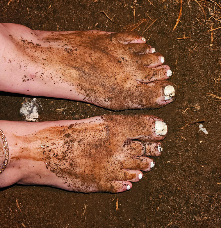 Ginggertoes banner image