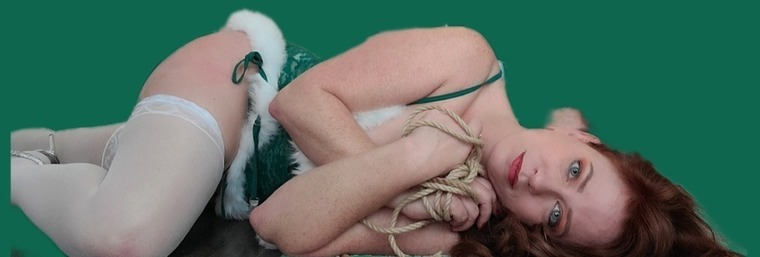 Gingycakes banner image
