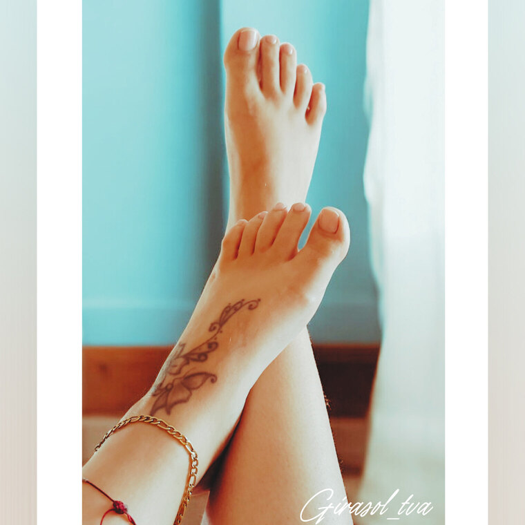 Girasol banner image