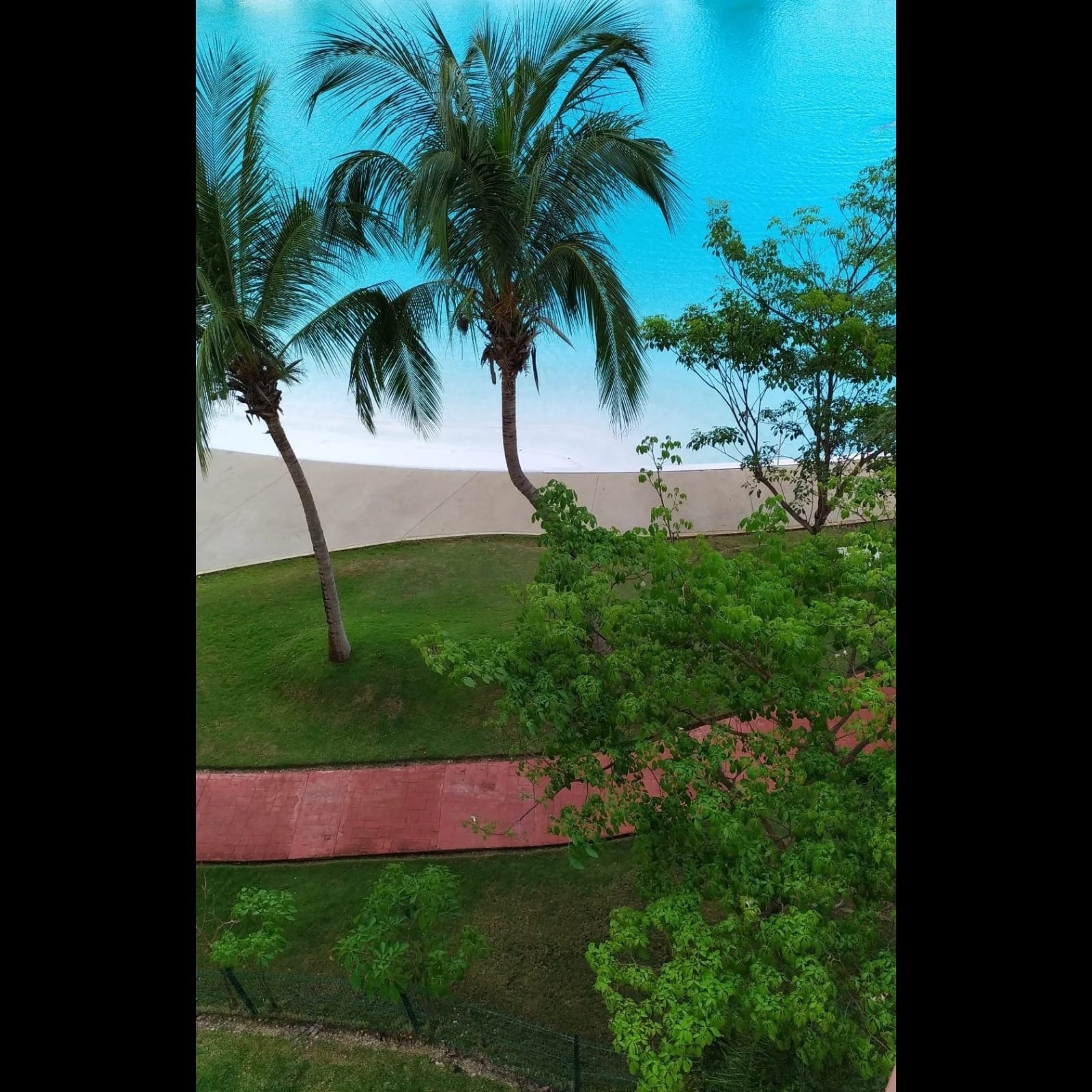 Cory banner image