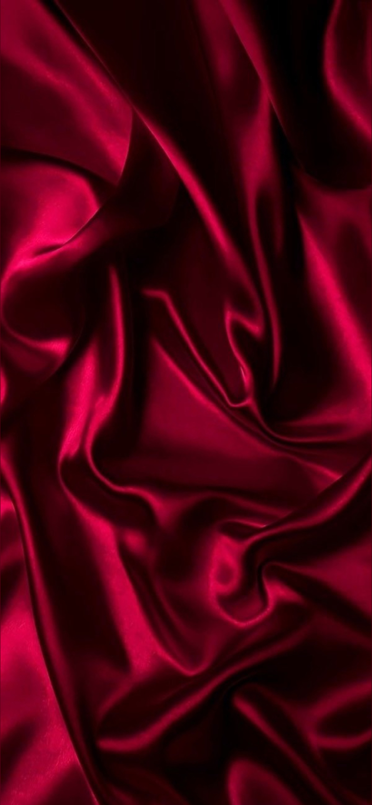 Miss Kitty banner image